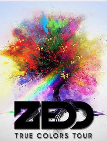 Zedd True Colors